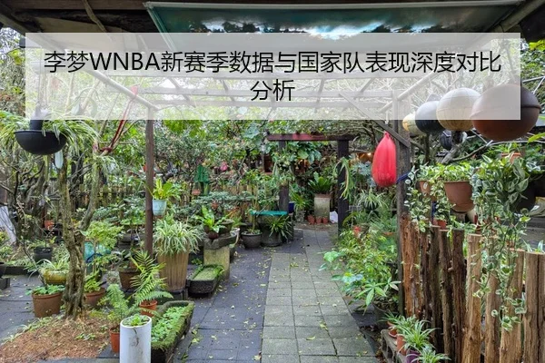 李梦WNBA新赛季数据与国家队表现深度对比分析
